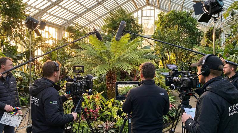 黑料植物视频-幕后花絮视频教程